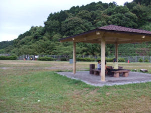 フェンスの向こうが小川