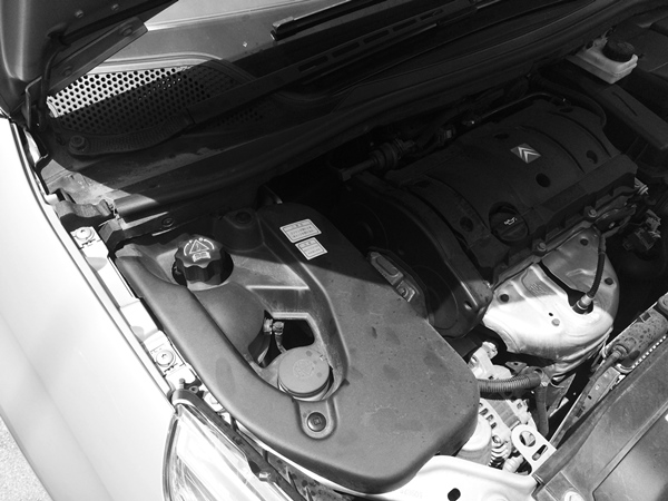 citroenbonnet.JPG