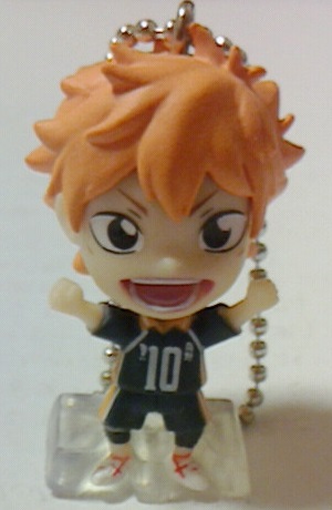 ハイキュー　日向