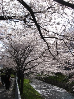 goyousui_02