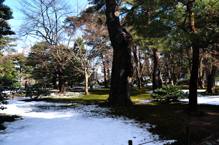 雪２