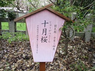 IMG_9261ss.jpg
