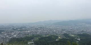 IMG_1427.jpg