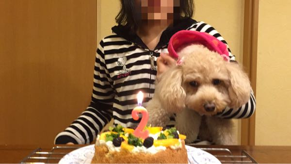 rblog-20151114213947-05.jpg