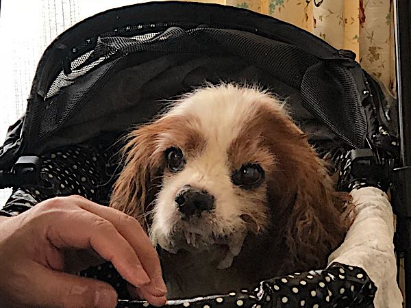 rblog-20180311142555-02.jpg