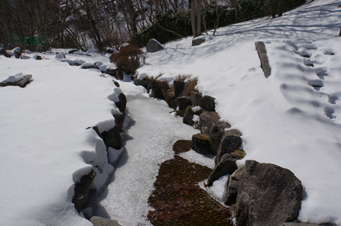 DSC01497.JPG