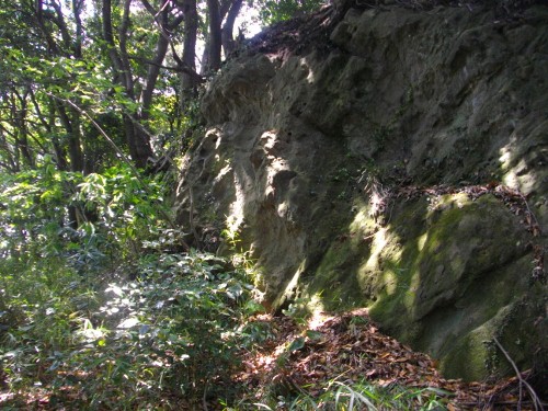 衣笠城物見岩 (500x375).jpg