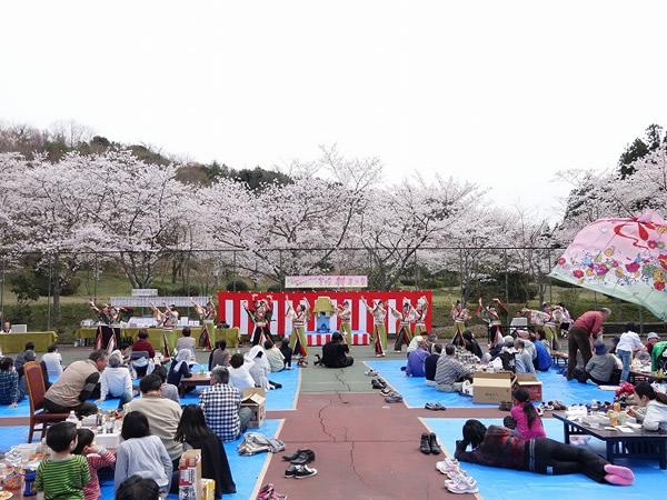 20150402　辻のや花乃庄　桜まつり