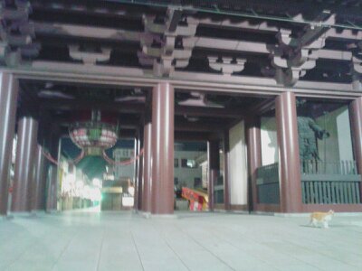 川崎大師門と猫2013新春