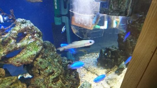rblog-20171107221712-09.jpg