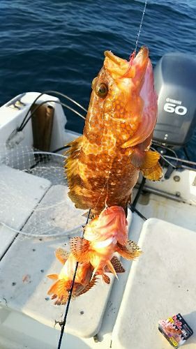 rblog-20180610062338-01.jpg