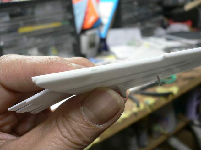 P1050241.jpg