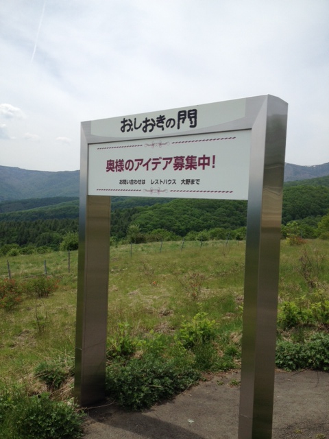 写真 3 (1).JPG