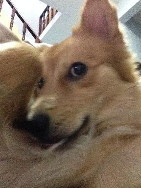 あい