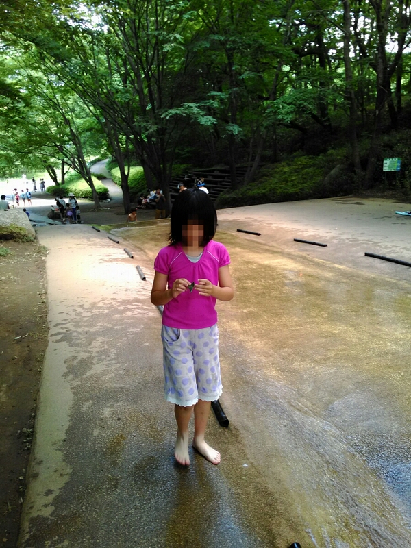 なすか笹舟をつくる元写真