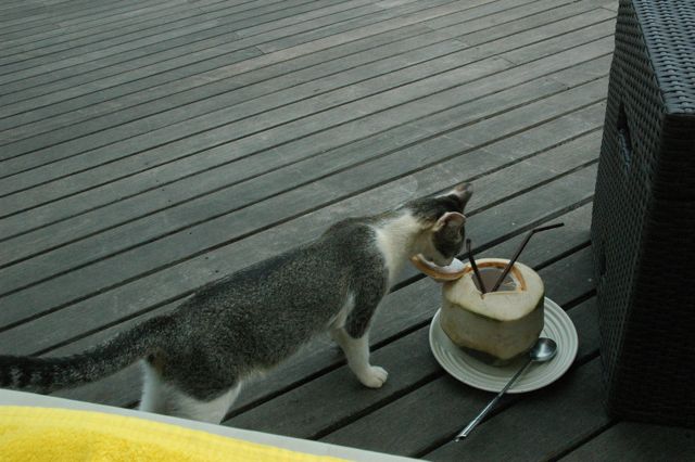 thai34.jpg