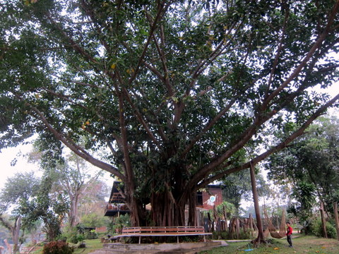 kanchanaburi resort2