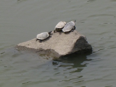 IMG_0057 縮小 - コピー.jpg