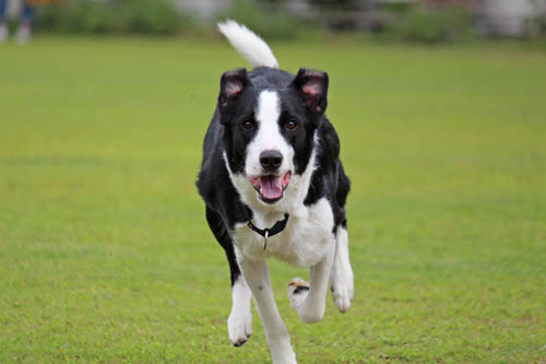 run-2