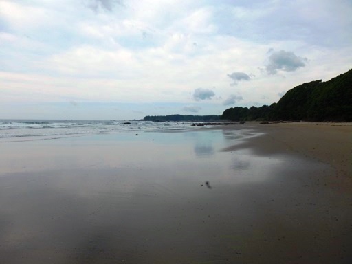 海へ.jpg