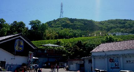 cyatumi