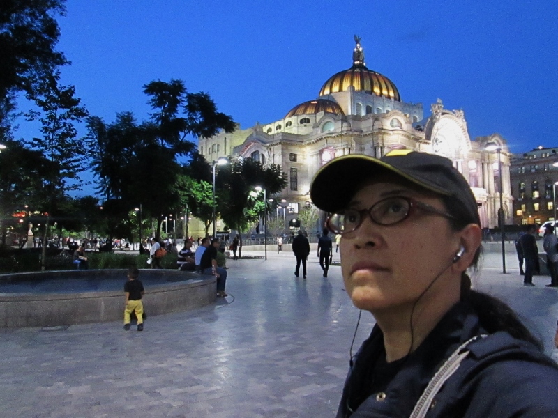 mi fantacia palacio de bellas artes