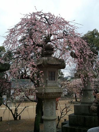 2012-03-18 15_45_19.jpg