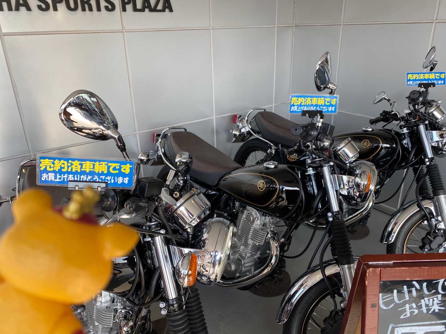 豊川 ysp YSP豊川 販売中の新車・中古バイクの一覧を見る｜【ウェビック