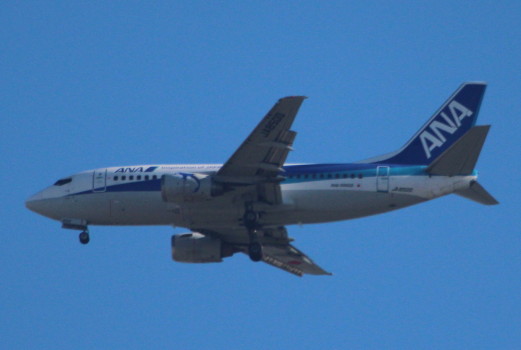 IMG_9868_1.JPG