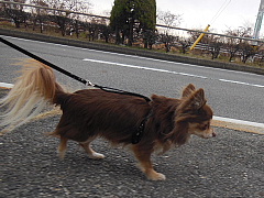 conv0234.JPG