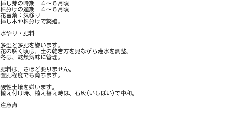 Otacanthus1