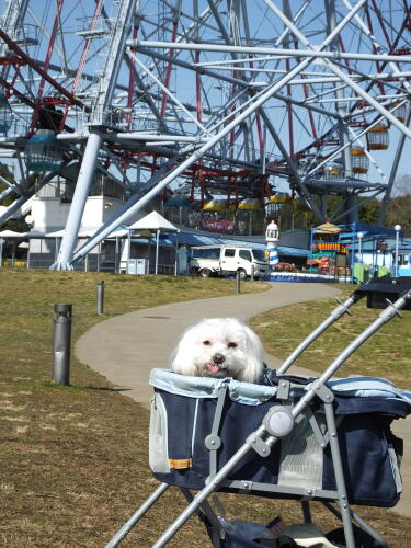 葛西臨海公園にて