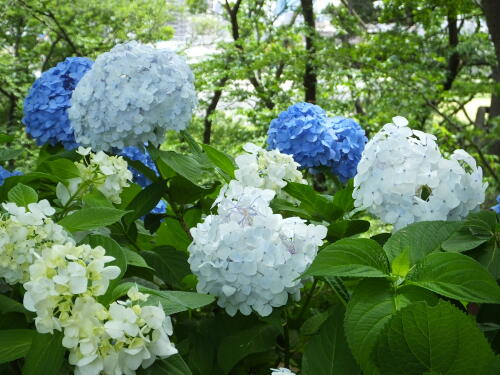 多摩川台公園にて