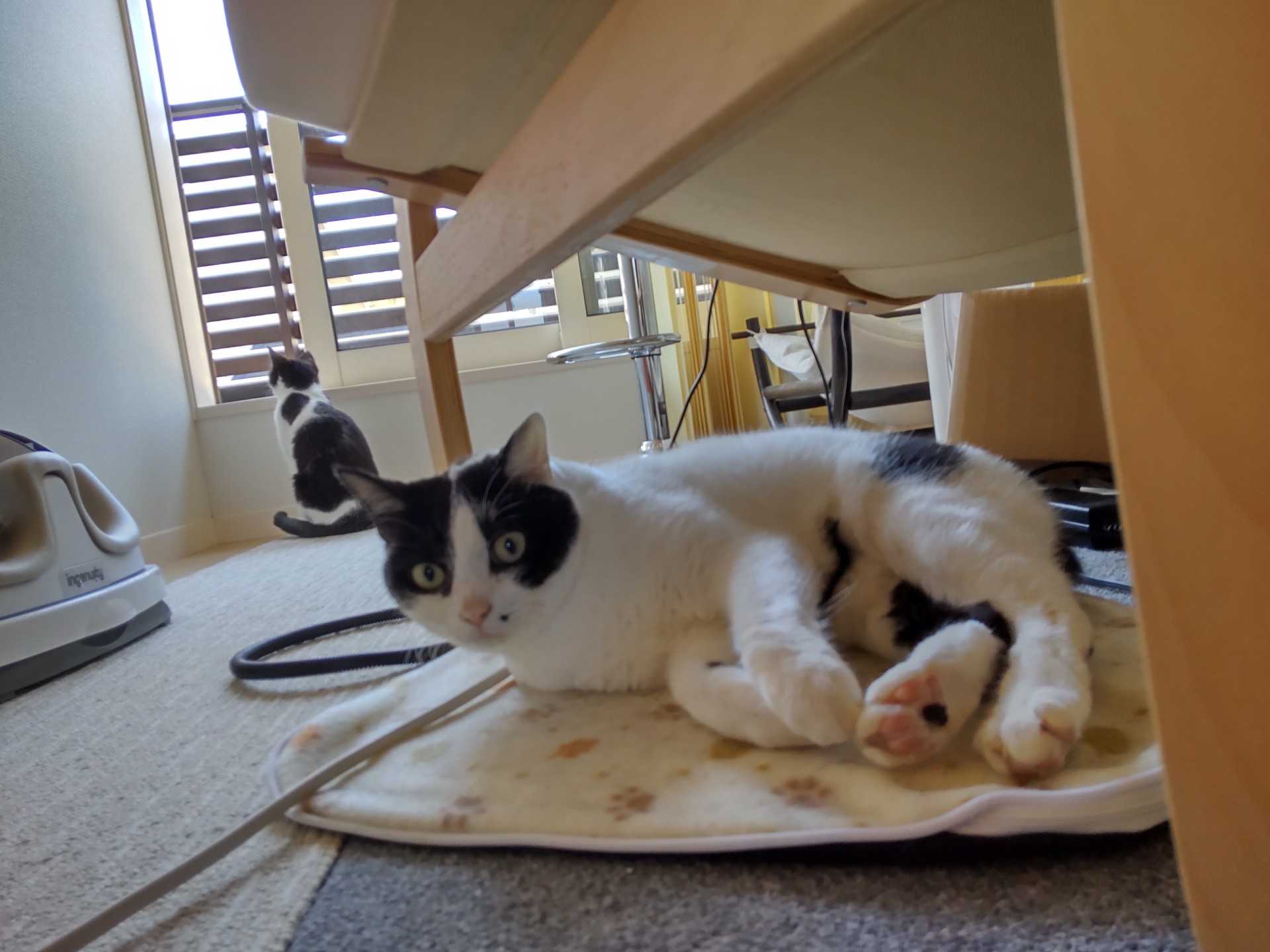 7ページ目の記事一覧 風流先生の貧乏金なし 楽天ブログ