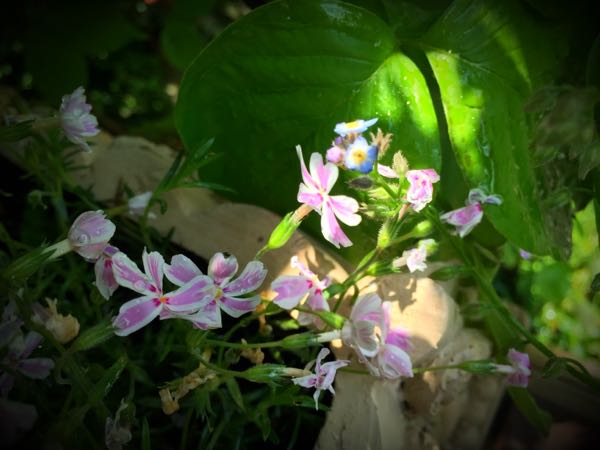 rblog-20160430165450-01.jpg