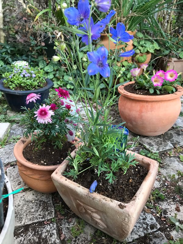 rblog-20190324174020-03.jpg