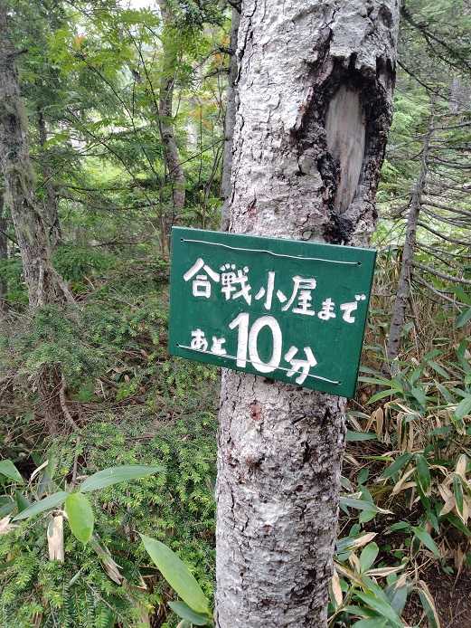 家一軒を解体してみたら いろいろやってみたくなる - 楽天ブログ