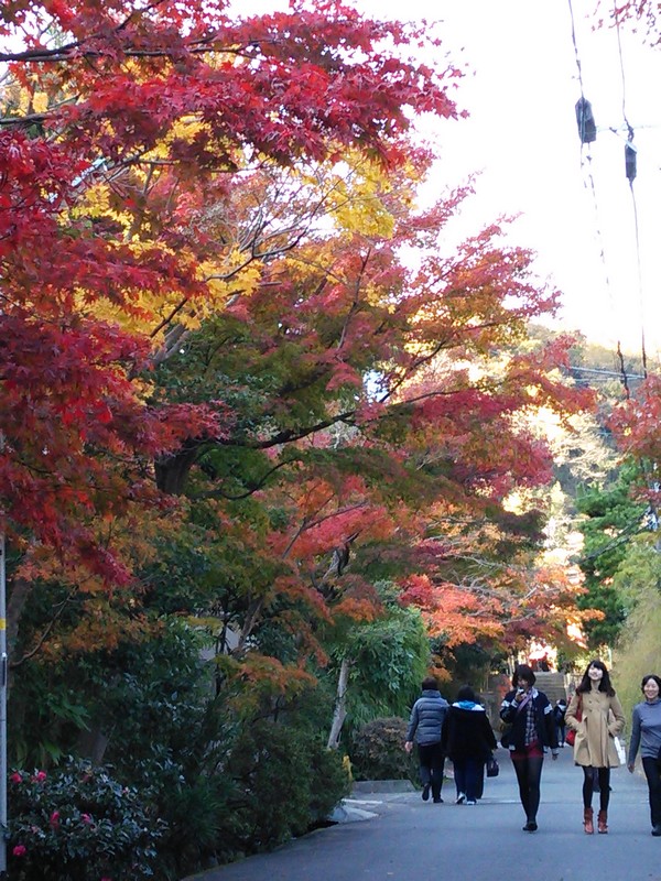 2013紅葉04.jpg