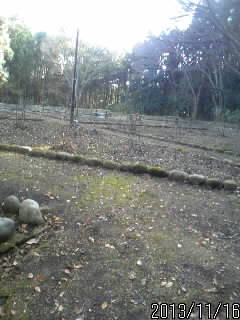 バラ園・ボタン園の曲輪１