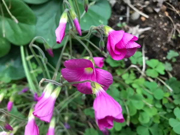 rblog-20181108170359-07.jpg