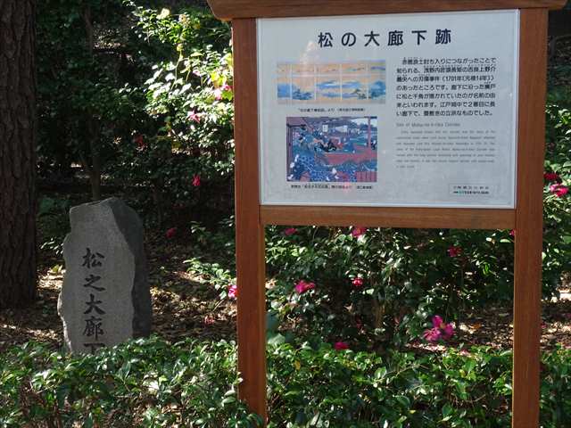 DSC07407_R.JPG