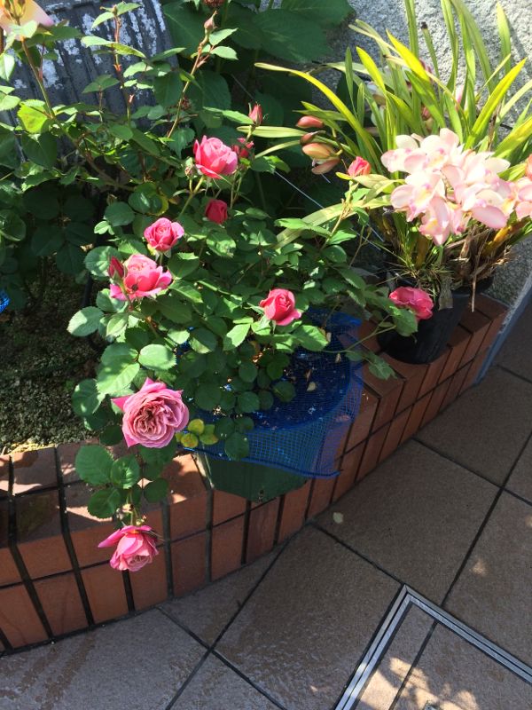 rblog-20140509111430-00.jpg