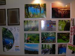 DSCN6759-w256.jpg