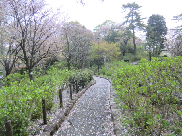 画像 46061.jpg