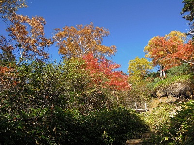 DSCN5955s.jpg