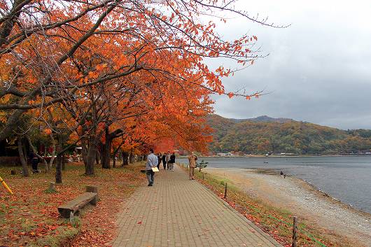 河口湖湖畔