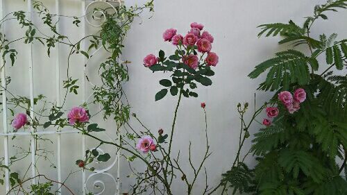 rblog-20171211202013-01.jpg