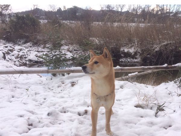rblog-20160125004606-05.jpg