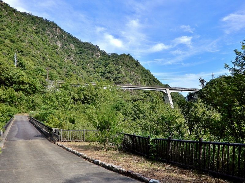 遊歩道8