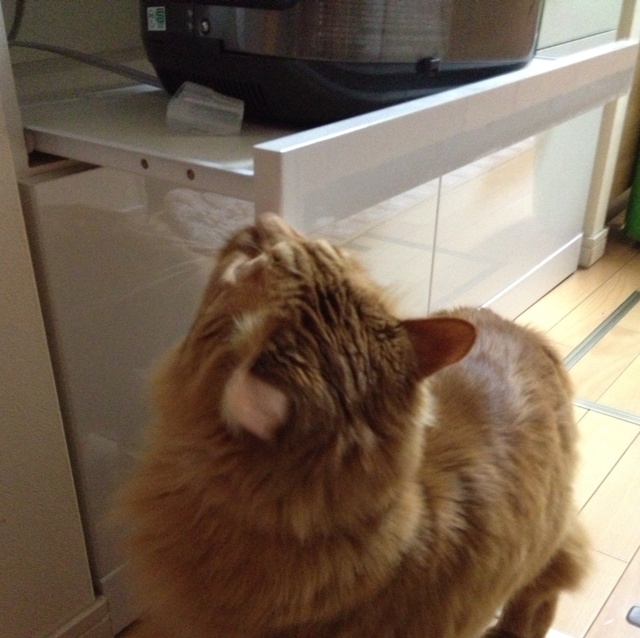rblog-20130315213421-02.jpg